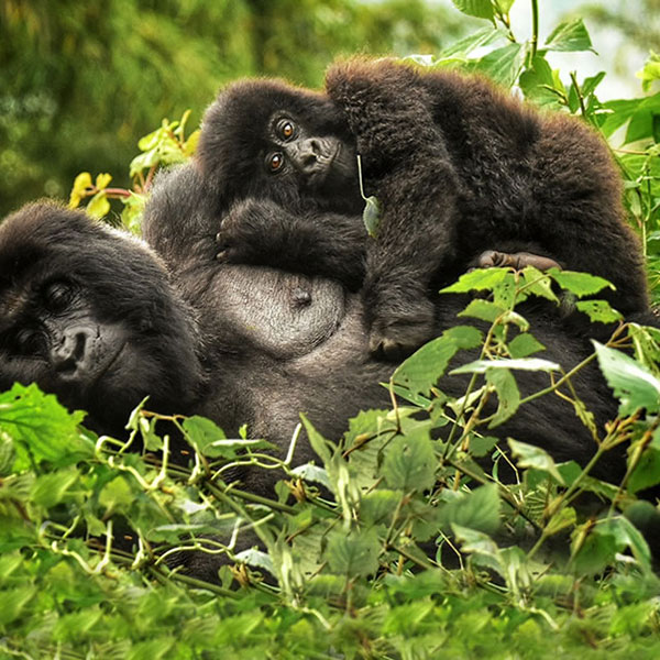Filming in Rwanda