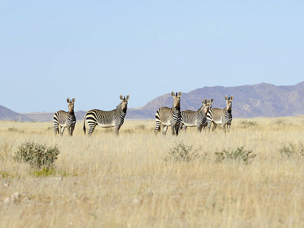 Best time to film in Tanzania